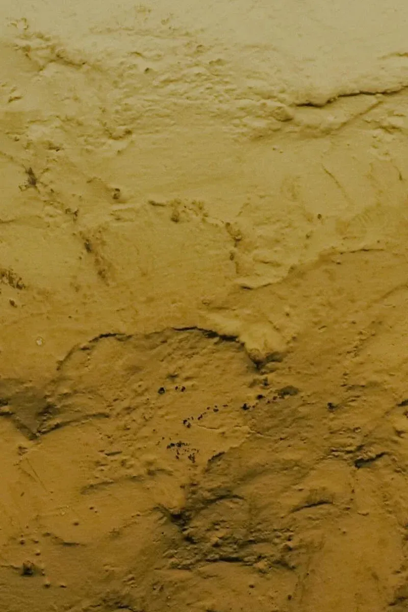 Opiuci